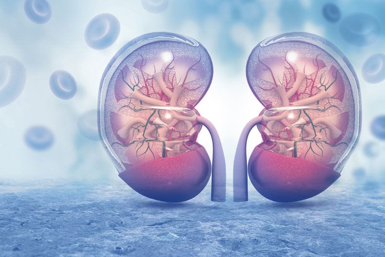 Kidney Disease