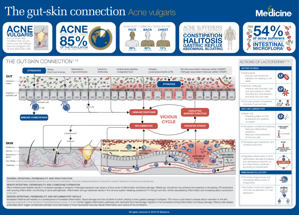 gut health skin connection with acne