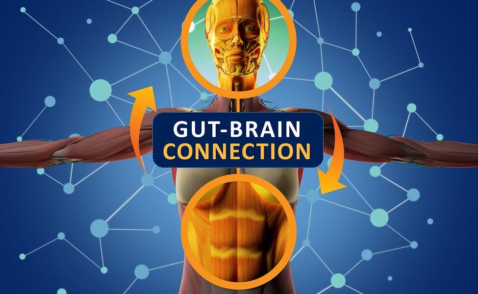 Gut Brain Axis