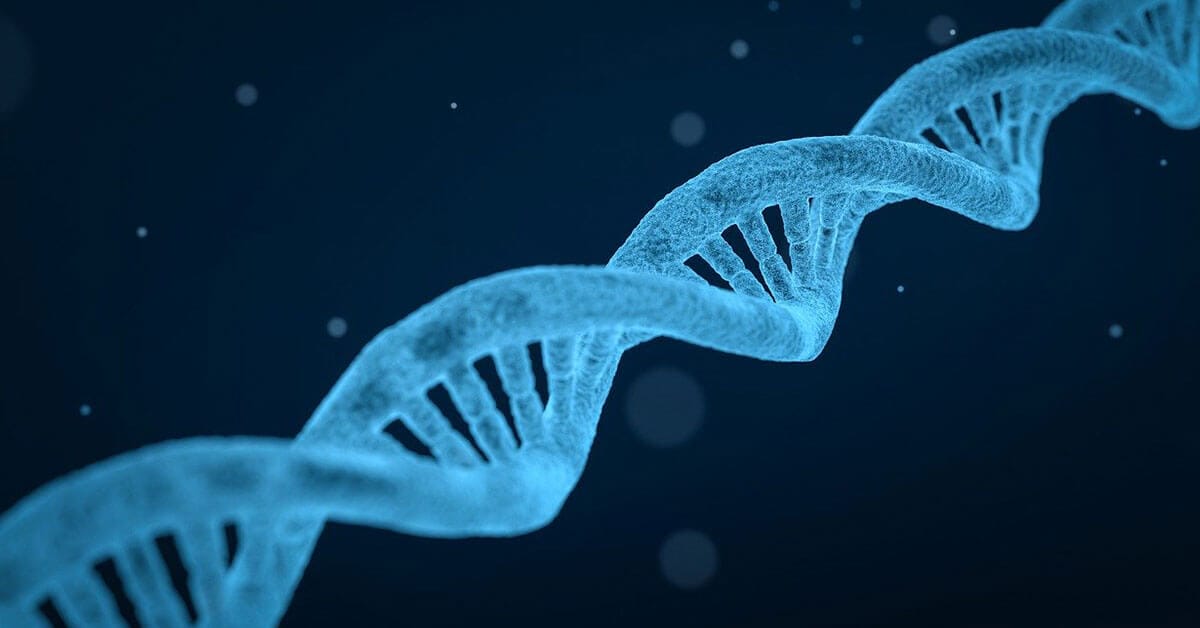 Can MTHFR affect your thyroid and be a root cause of Hashimoto’s disease?