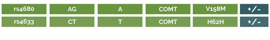 COMT gene profile