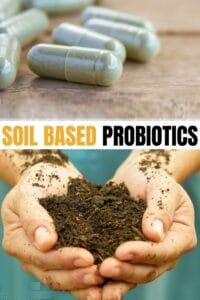 Benefits of spore forming probiotics & soil based probiotics
